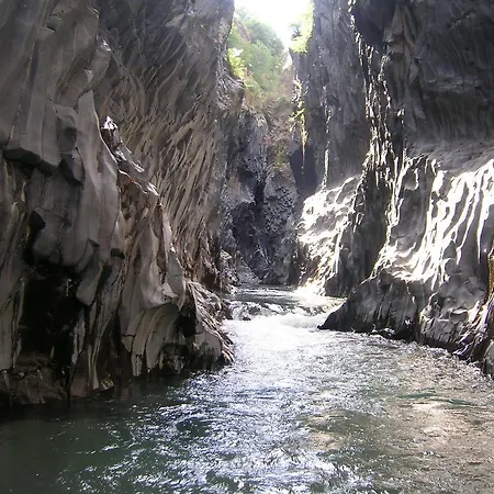 アパートホテル Kassiopea